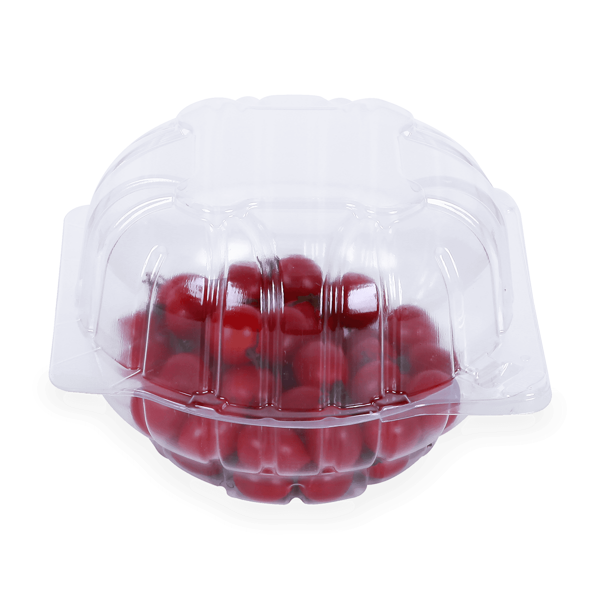 100% recyclebare PCR RPET clamshell fruitverpakkingen